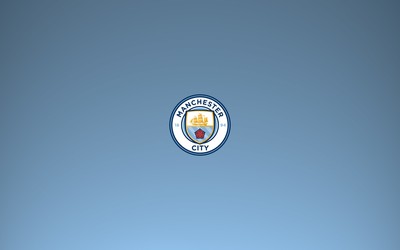 9D体育独家-什琴斯尼这领袖气质出来了