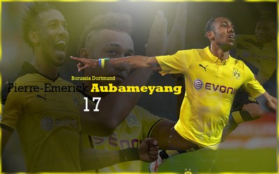 9D体育动态-全国上下一条心